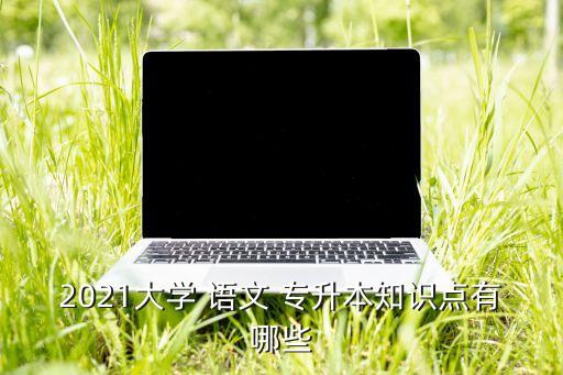 2021大學(xué) 語文 專升本知識(shí)點(diǎn)有哪些