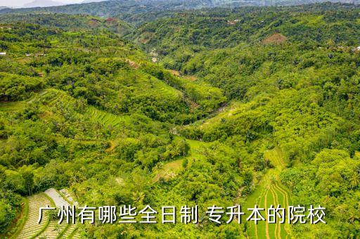 廣州報考專升本,河南專升本可以報考哪些大學