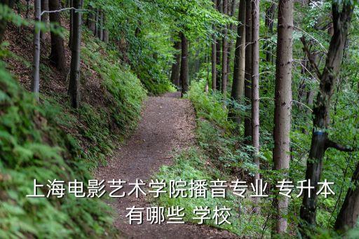 2上海藝術(shù)類專升本學(xué)校有哪些,山東專升本藝術(shù)類報考學(xué)校