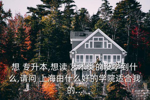 想 專升本,想讀 藝術(shù)類的沒學(xué)到什么,請問 上海由什么好的學(xué)院適合我的...