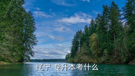 遼寧電氣自動(dòng)化專(zhuān)升本考試科目,河南電氣自動(dòng)化技術(shù)專(zhuān)升本考試科目