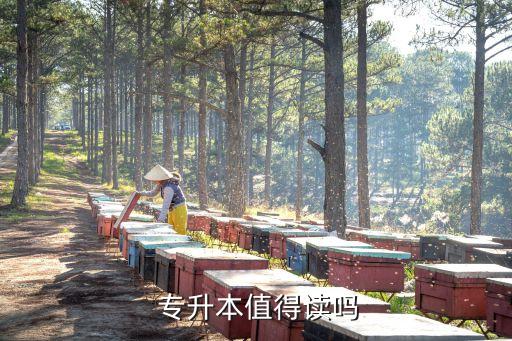 專升本好不好,點(diǎn)對(duì)點(diǎn)教育專升本好不好