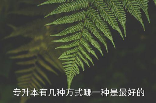 專升本沒考過可以選擇專套本嘛