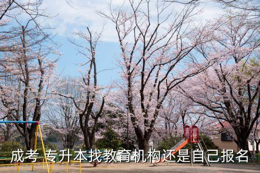 成考 專升本找教育機(jī)構(gòu)還是自己報名