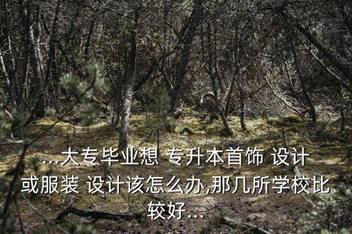 ...大專畢業(yè)想 專升本首飾 設計或服裝 設計該怎么辦,那幾所學校比較好...
