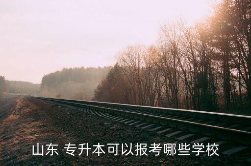 山東 專升本可以報考哪些學(xué)校