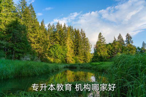  專(zhuān)升本教育 機(jī)構(gòu)哪家好