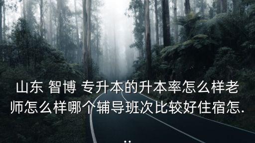 山東 智博 專升本的升本率怎么樣老師怎么樣哪個輔導(dǎo)班次比較好住宿怎...