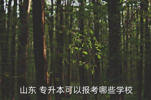  山東 專升本可以報考哪些學校