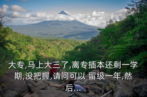 大專,馬上大三了,離專插本還剩一學期,沒把握,請問可以 留級一年,然后...