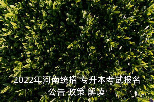 畢業(yè)生專(zhuān)升本政策解讀,2022免試專(zhuān)升本政策解讀