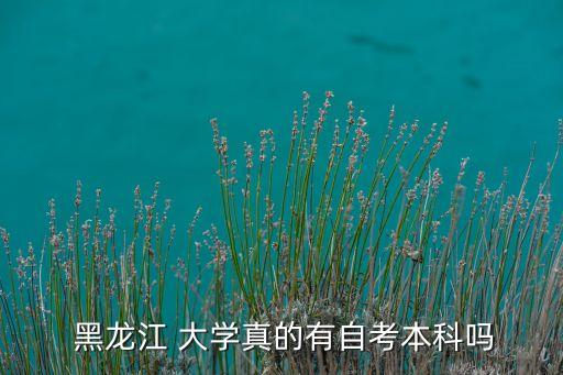  黑龍江 大學真的有自考本科嗎