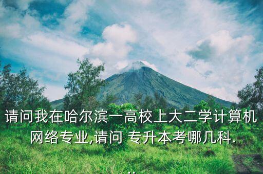 請(qǐng)問(wèn)我在哈爾濱一高校上大二學(xué)計(jì)算機(jī) 網(wǎng)絡(luò)專(zhuān)業(yè),請(qǐng)問(wèn) 專(zhuān)升本考哪幾科...