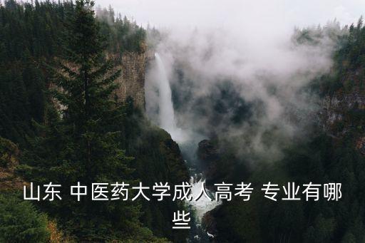 山東 中醫(yī)藥大學(xué)成人高考 專業(yè)有哪些