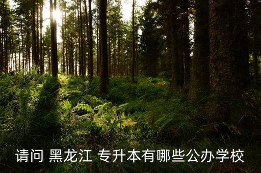 請(qǐng)問 黑龍江 專升本有哪些公辦學(xué)校