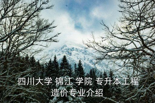  四川大學(xué) 錦江 學(xué)院 專(zhuān)升本工程造價(jià)專(zhuān)業(yè)介紹