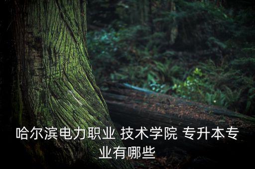 哈爾濱電力職業(yè) 技術(shù)學(xué)院 專(zhuān)升本專(zhuān)業(yè)有哪些