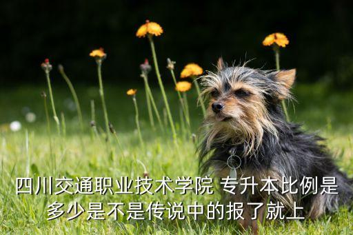 交院報考專升本人數(shù),2022年河南專升本人數(shù)