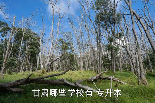甘肅哪些學校有 專升本