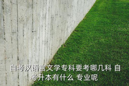  自考漢語言文學(xué)專科要考哪幾科 自考升本有什么 專業(yè)呢