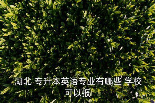  湖北 專升本英語專業(yè)有哪些 學(xué)?？梢詧? class=