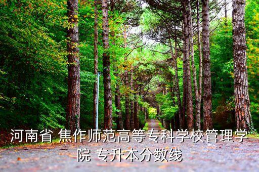 河南省 焦作師范高等?？茖W校管理學院 專升本分數(shù)線