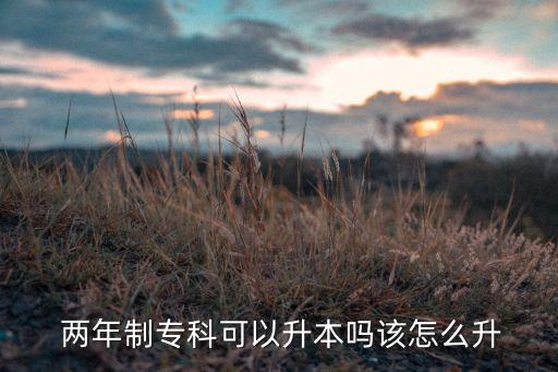  兩年制?？瓶梢陨締嵩撛趺瓷? class=