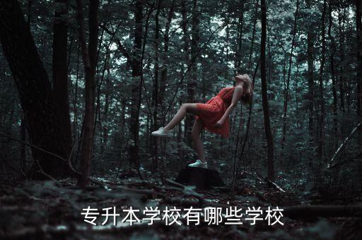  專升本學校有哪些學校