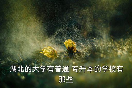  湖北的大學有普通 專升本的學校有那些