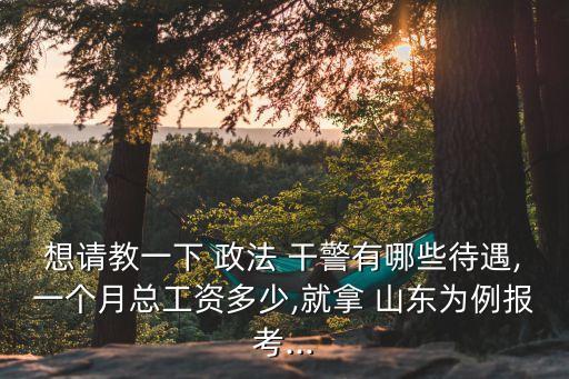 想請教一下 政法 干警有哪些待遇,一個月總工資多少,就拿 山東為例報(bào)考...