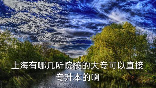  上海有哪幾所院校的大?？梢灾苯?專升本的啊