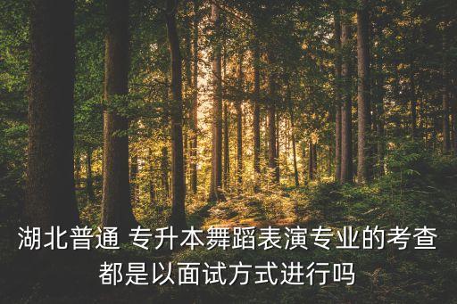 武漢體育學(xué)院專(zhuān)升本成績(jī)查詢(xún)