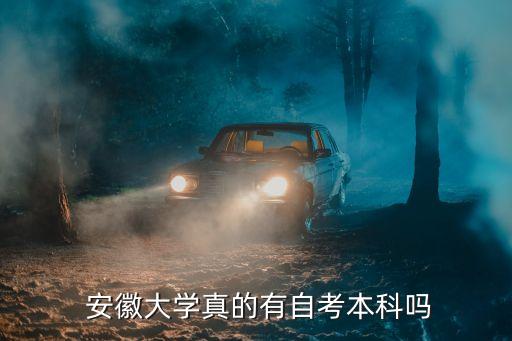 安徽大學專升本是幾本