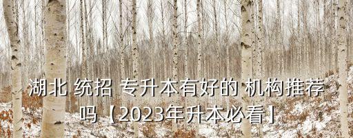 湖北 統(tǒng)招 專(zhuān)升本有好的 機(jī)構(gòu)推薦嗎【2023年升本必看】