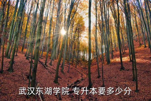 2018專升本的分數(shù)線是多少