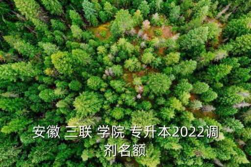安徽 三聯(lián) 學(xué)院 專(zhuān)升本2022調(diào)劑名額