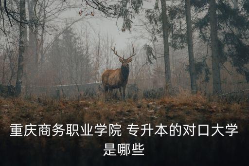 重慶商務職業(yè)學院 專升本的對口大學是哪些