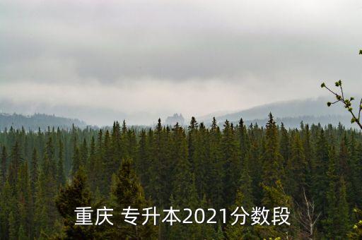  重慶 專升本2021分數段