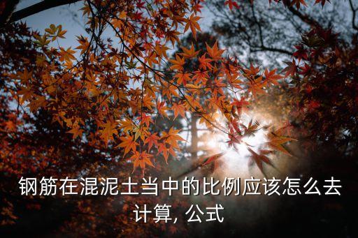  鋼筋在混泥土當(dāng)中的比例應(yīng)該怎么去計(jì)算, 公式