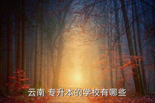 云南 專升本的學(xué)校有哪些