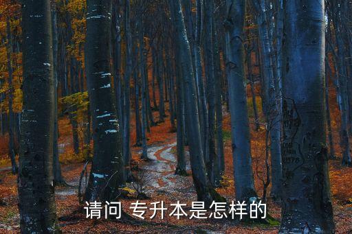 請(qǐng)問 專升本是怎樣的