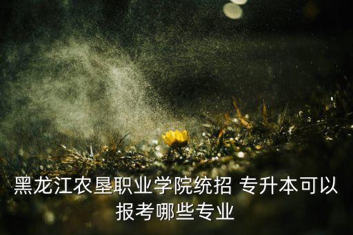 黑龍江農(nóng)墾職業(yè)學(xué)院統(tǒng)招 專(zhuān)升本可以報(bào)考哪些專(zhuān)業(yè)