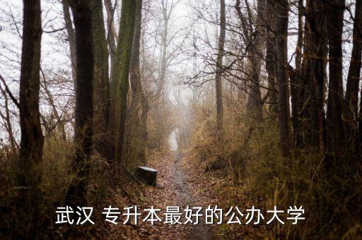 武漢 專升本最好的公辦大學