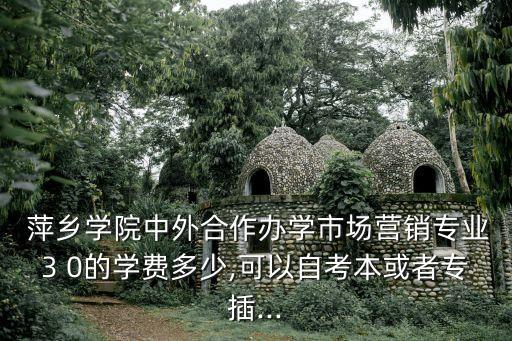  萍鄉(xiāng)學院中外合作辦學市場營銷專業(yè)3 0的學費多少,可以自考本或者專插...