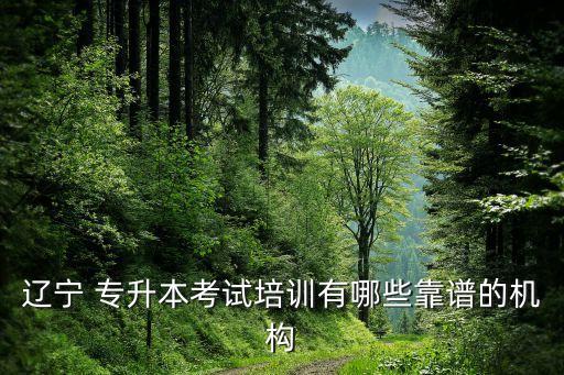 遼寧 專升本考試培訓有哪些靠譜的機構(gòu)
