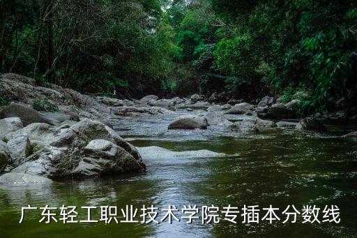 廣東專升本招生計劃,2023廣東專升本招生計劃