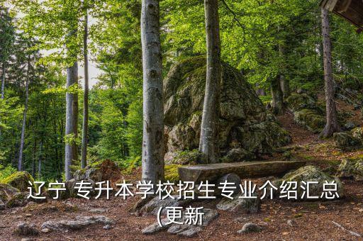 遼寧對外經貿學院網專升本