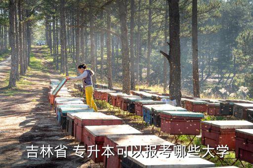 吉林省 專升本可以報(bào)考哪些大學(xué)