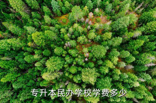  專升本民辦學(xué)校學(xué)費多少