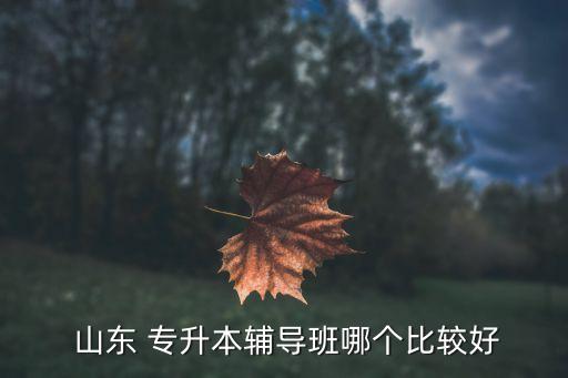  山東 專升本輔導(dǎo)班哪個比較好